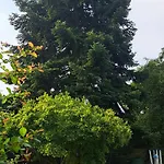 All-in-one Mit Eigener Sonnenterrasse Im Garten